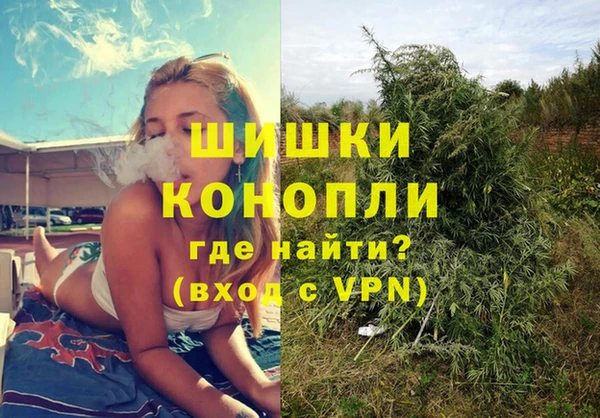 прущие грибы Армянск