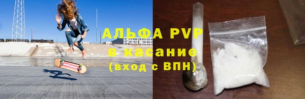 прущие грибы Армянск