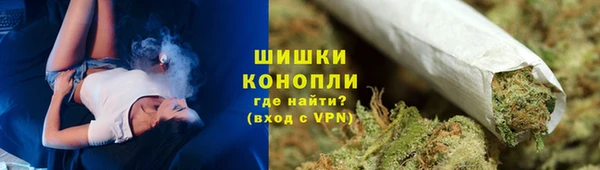 прущие грибы Армянск
