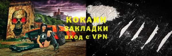 прущие грибы Армянск