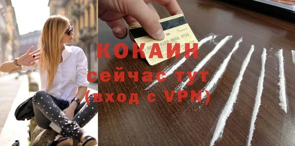прущие грибы Армянск