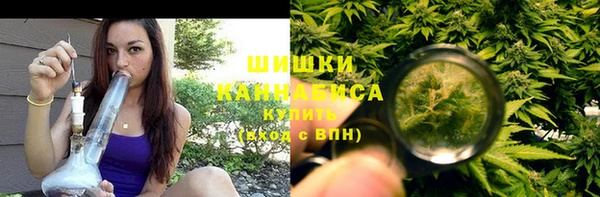 прущие грибы Армянск